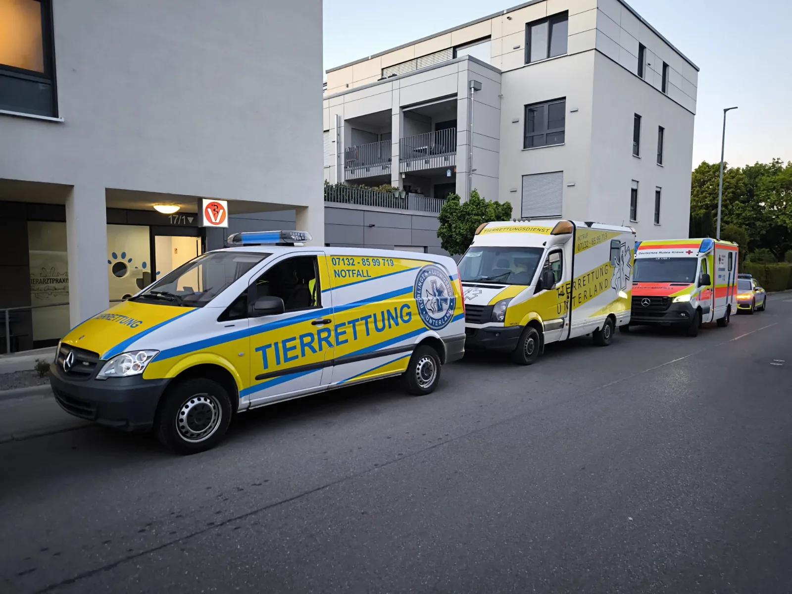 Fahrzeugkonvoi der Tierrettung Unterland mit Notfallfahrzeug, Tierrettungswagen und Rettungswagen im Einsatz