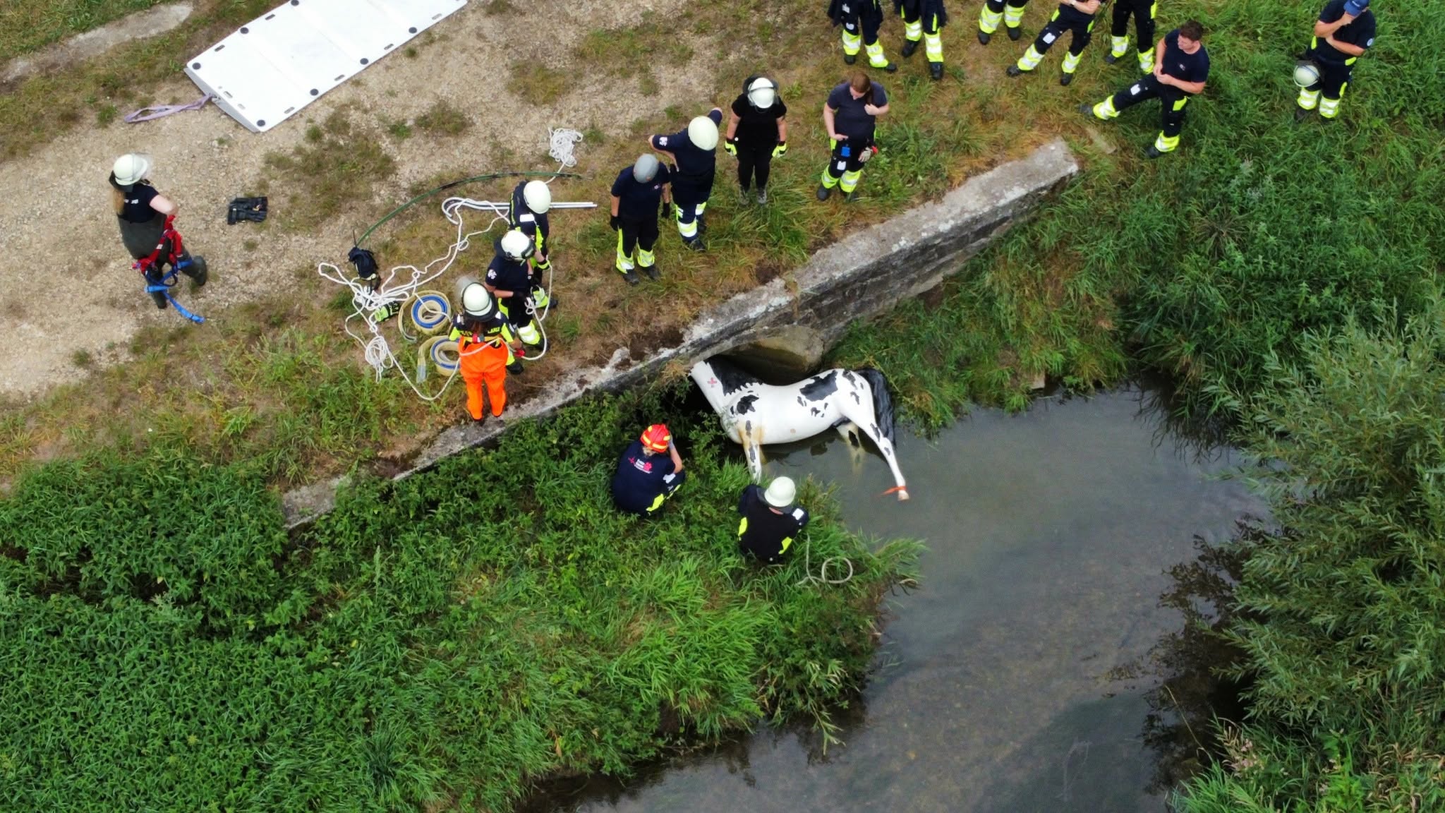 Großtierrettung im Einsatz – ausgewähltes Bild
